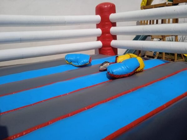 Rin de box blanco /negro 4x4mts - Imagen 2