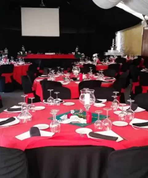 Servicio-1-480x576