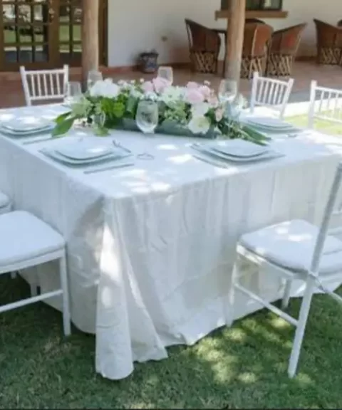 Servicio-5-480x576